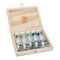 Schmincke Horadam Aquarell Artist Watercolor - Set of 5, Shire, Supergranulation, Wood Box, 15 ml, Tubes